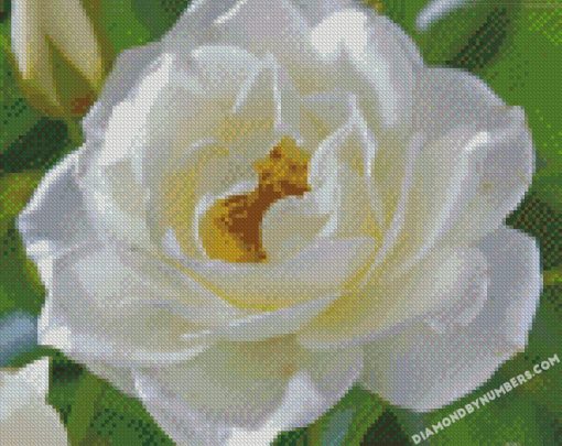 diamond painting