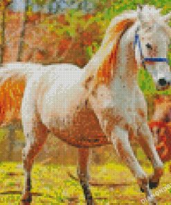 diamond painting