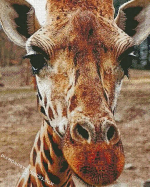 diamond painting