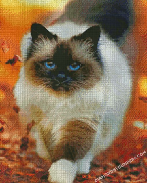 diamond painting