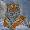 diamond paintings