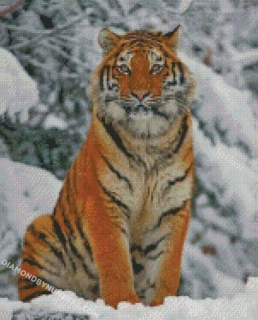diamond painting
