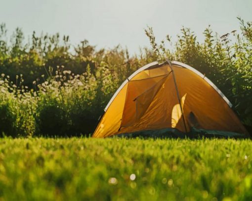Tent At Fields Edge paint by numbers