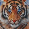 diamond painting