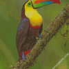 diamond painting
