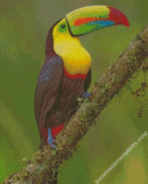 diamond painting