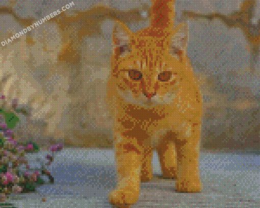 diamond painting