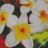 white and yellow flowers diamond paintings
