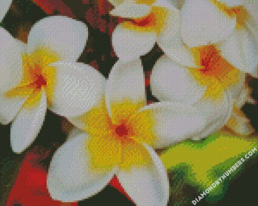 white and yellow flowers diamond paintings