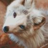 diamond painting