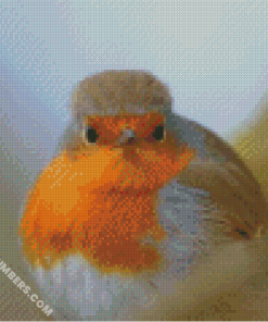 diamond paintings