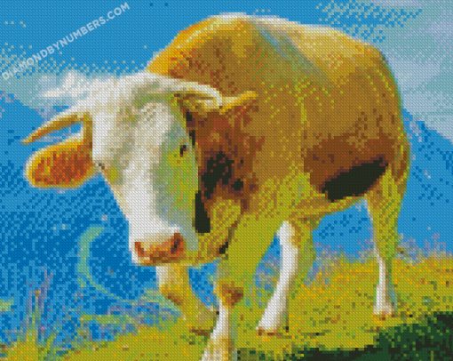 diamond painting