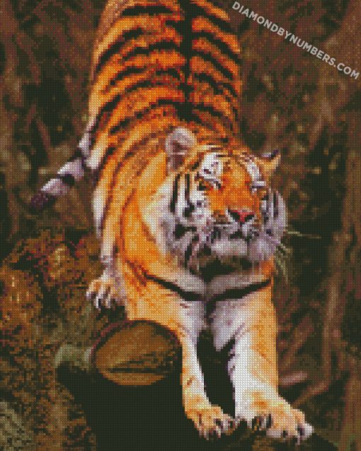diamond painting