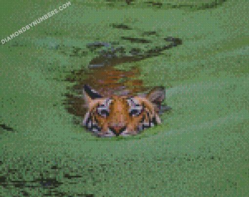 diamond painting