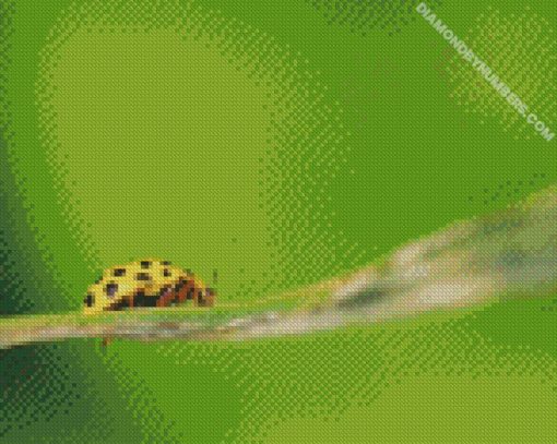 diamond painting