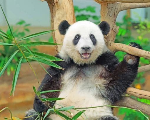 Black And White Panda Paint By Numbers