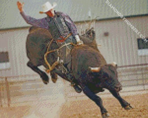 Bull Rider diamond paintings