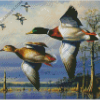 Diamond Paintings
