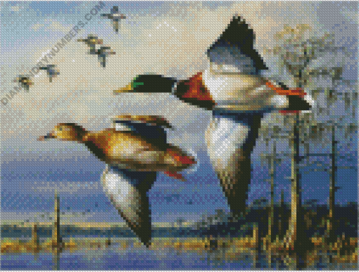 Diamond Paintings