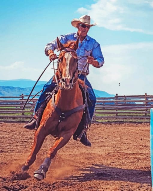 Cowboy And His Horse Paint By Numbers
