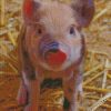 Farrow Farm Pig diamond painting