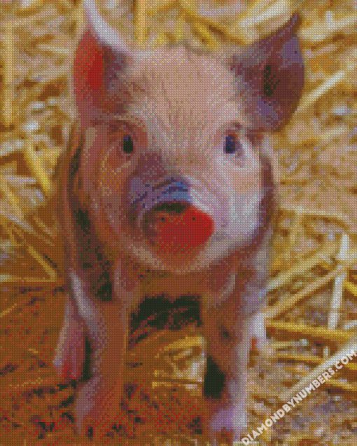 Farrow Farm Pig diamond painting
