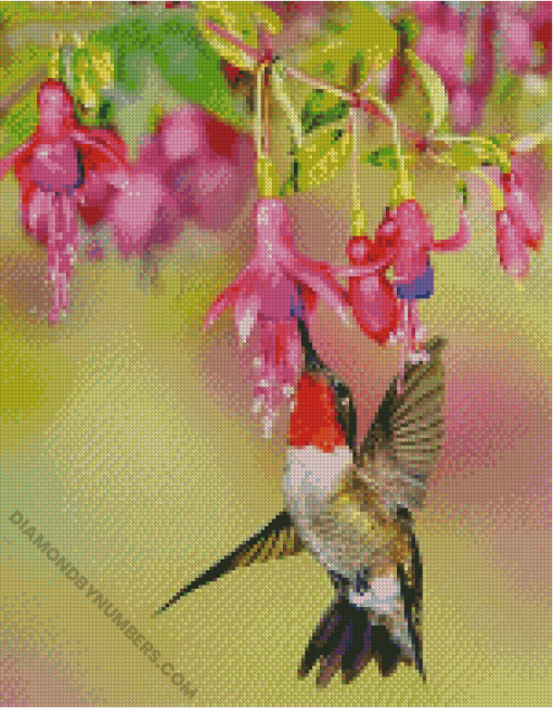 Diamond Paintings