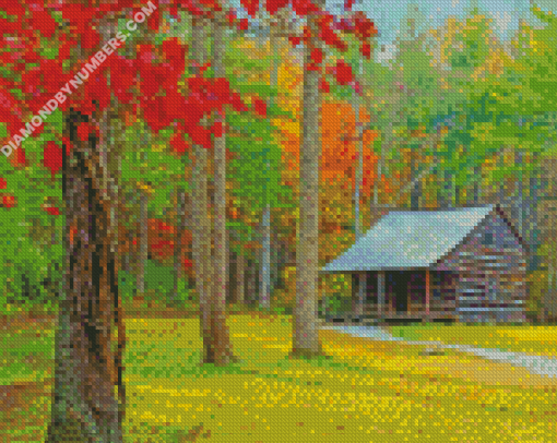 diamond paintings