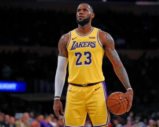 LeBron James Los Angeles Lakers paint by numbers