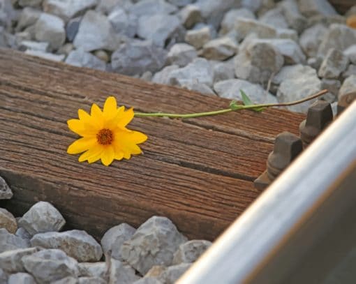 Rail Track Flower paint by numbers