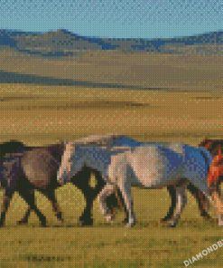 diamond painting