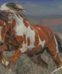 diamond painting