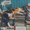cat sleeping on boosks diamond painting