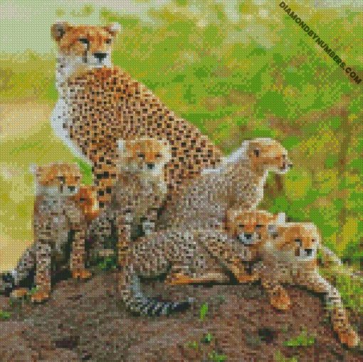 diamond painting