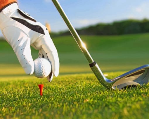 Golf Game Setup paint by numbers