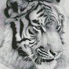 diamond painting