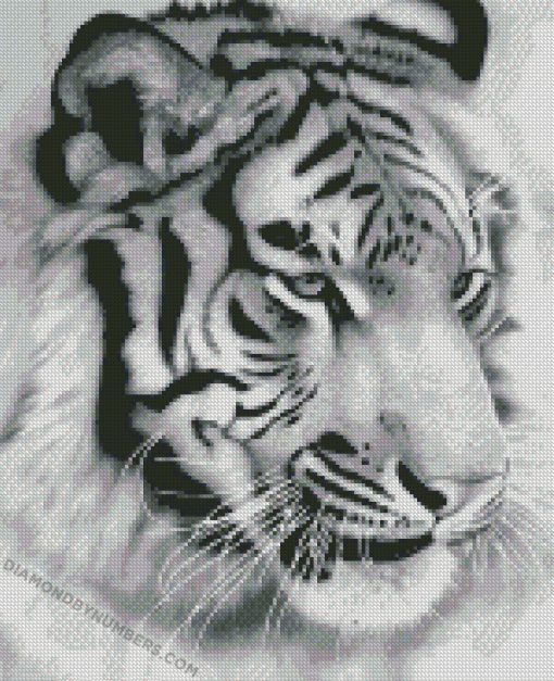 diamond painting