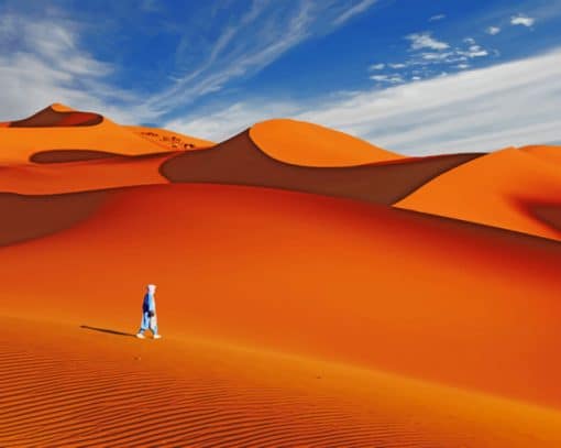 A Person Walking The Sahara paint by numbers