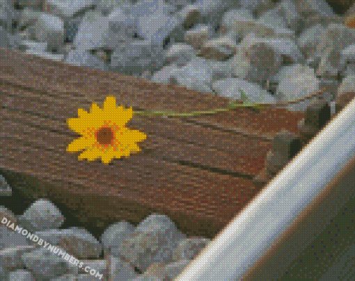 diamond painting