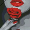 diamond painting