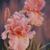 diamond painting
