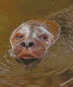 diamond paintings
