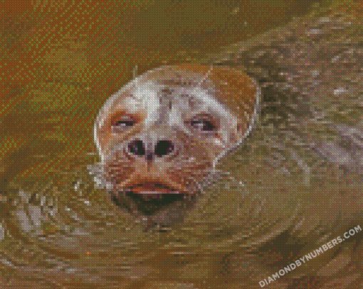 diamond paintings