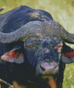 diamond painting