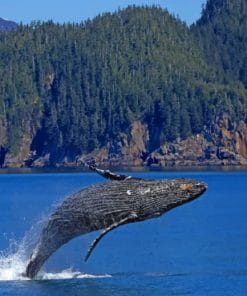 Whale Jumping Out Of Water paint by numbers