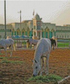 diamond paintings