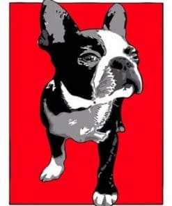 Boston Terrier Dog Poster - 5D Diamond Painting