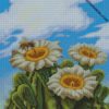 diamond painting