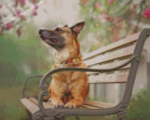Diamond Paintings