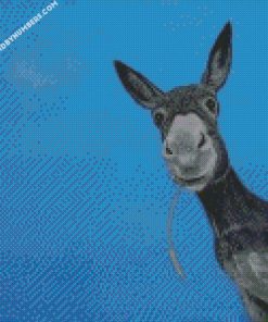 Donkey Portrait diamond painting